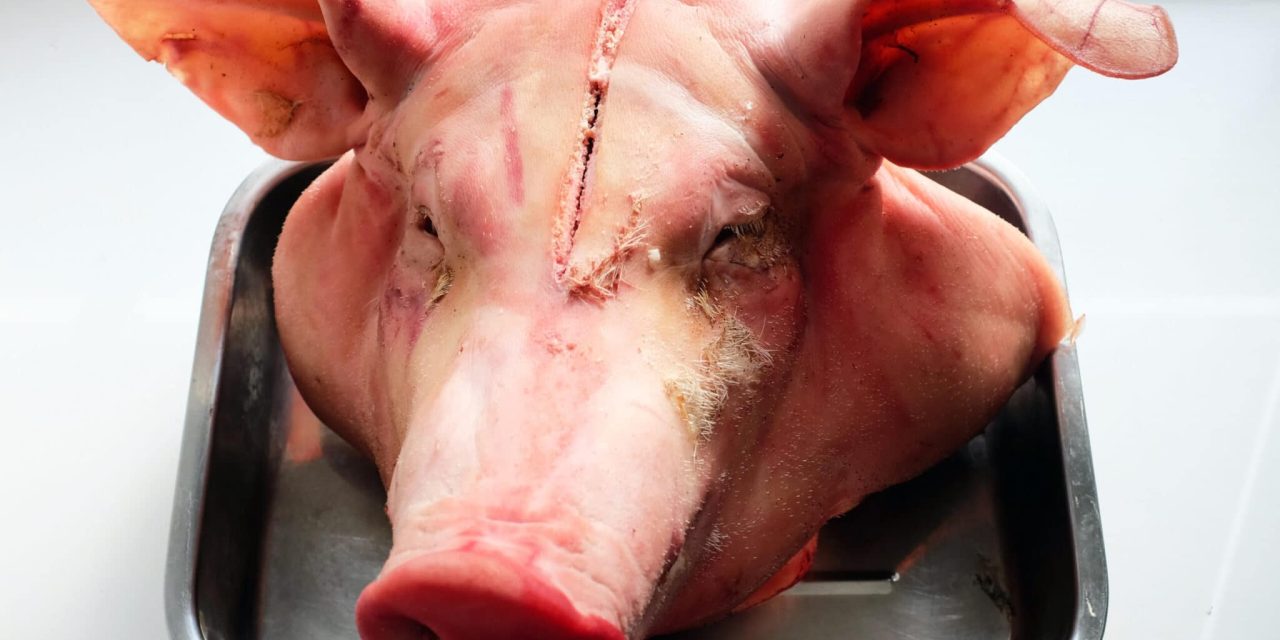 Pria Ditangkap Setelah Mengirim Daging Babi Ke Sebuah Masjid