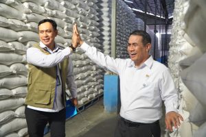 Indonesia Cetak Sejarah Cadangan Beras Nasional 5,19 Juta Ton