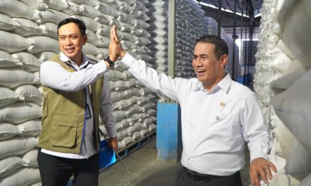 Indonesia Cetak Sejarah Cadangan Beras Nasional 5,19 Juta Ton