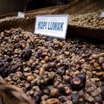 Kopi Luwak Indonesia Jadi Primadona Di Pameran Kopi Milan