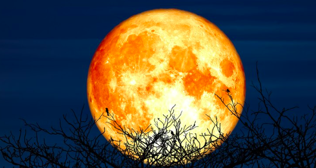 Fenomena “Supermoon” Langka Hiasi Langit Malam Ini