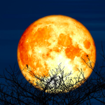 Fenomena “Supermoon” Langka Hiasi Langit Malam Ini