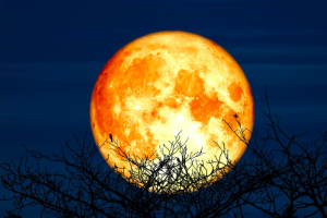 Fenomena "Supermoon" Langka Hiasi Langit Malam Ini