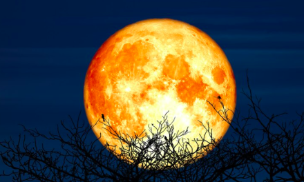 Fenomena “Supermoon” Langka Hiasi Langit Malam Ini