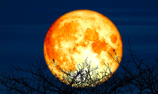 Fenomena “Supermoon” Langka Hiasi Langit Malam Ini