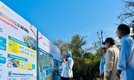 Transisi Energi Nasional: Presiden Resmikan PLTS 100 GWp