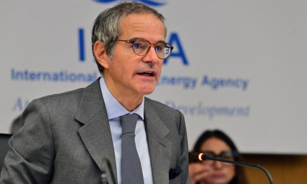 IAEA Fasilitasi Gencatan Senjata Di PLTN Zaporizhzhia