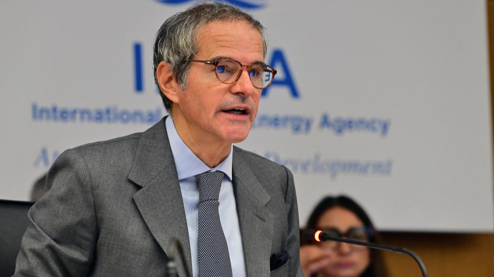 IAEA Fasilitasi Gencatan Senjata Di PLTN Zaporizhzhia