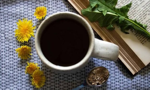 Alasan Kopi Akar Dandelion Jadi Minuman Populer Di Kanada