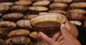 Mengenal Minuman Kawa Daun Tanah Datar Di Tempurung Kelapa
