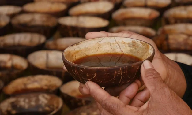 Mengenal Minuman Kawa Daun Tanah Datar Di Tempurung Kelapa